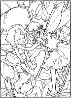 00017.png