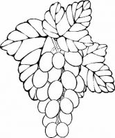 Filename=00032.png
Filesize=131KB
Dimensions=450x542
Date added=Jul 07, 2007 00032.png