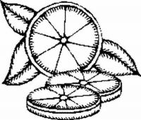 Filename=00040.png
Filesize=153KB
Dimensions=450x384
Date added=Jul 07, 2007 00040.png