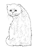 00033.png
