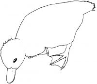 Filename=00002.png
Filesize=4KB
Dimensions=670x580
Date added=Jul 07, 2007 00002.png