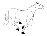 Filename=00052.png
Filesize=44KB
Dimensions=900x690
Date added=Jul 07, 2007 00052.png